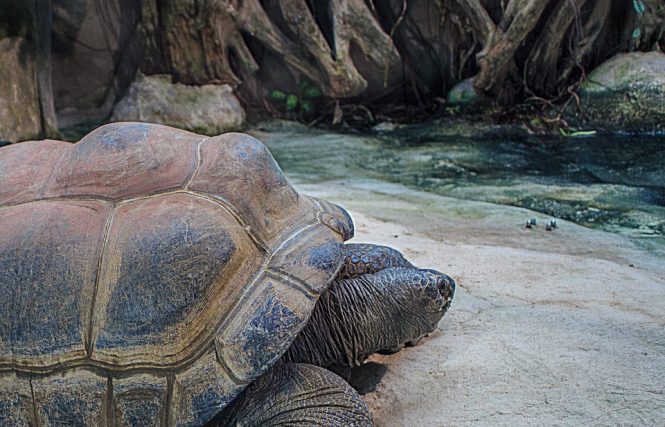 Seychelles Island