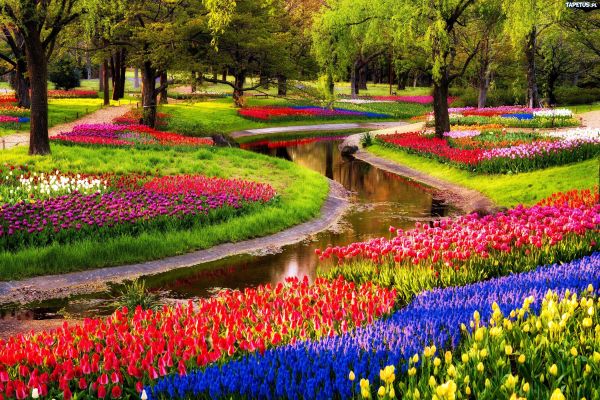Beautiful places in the world Keukenhof Park, The Netherlands