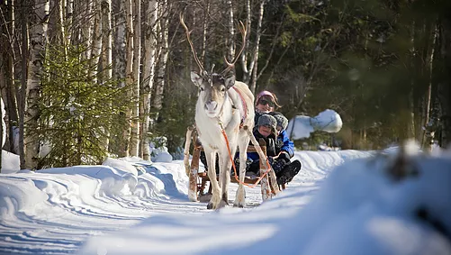Rovaniemi - Scandinavian tours Rovaniemi - Scandinavian tours