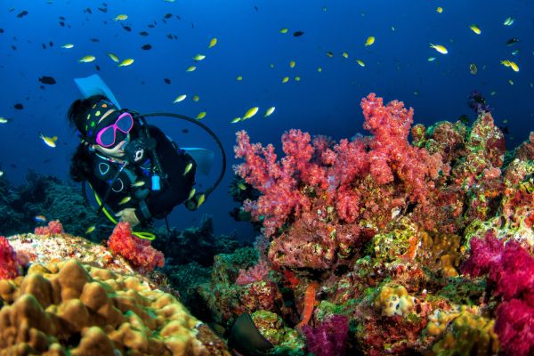 Wandoor Marine National Park - National Parks In India