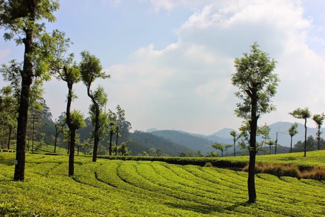 Ponmudi - Honeymoon Places in South India Ponmudi - Honeymoon Places in South India