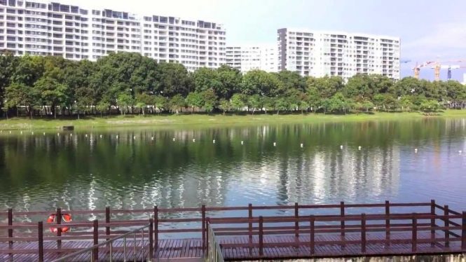 Forest obstacles - Singapore Adventure Forest obstacles - Singapore Adventure