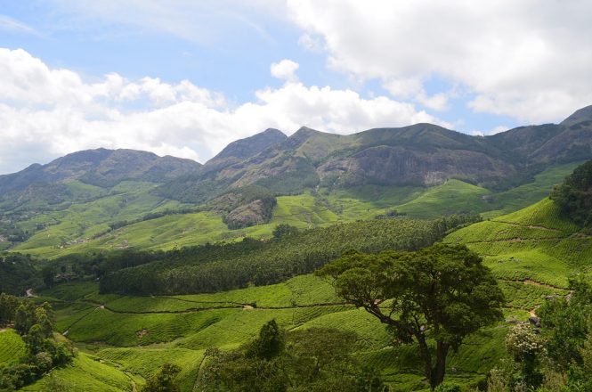 Munnar - Honeymoon Places in South India Munnar - Honeymoon Places in South India