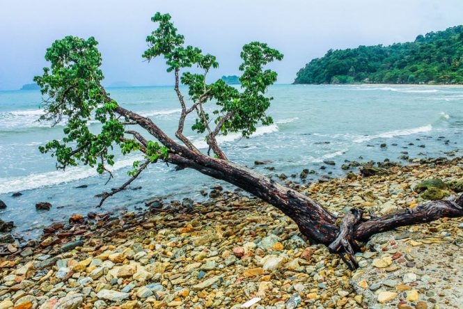 The Silvermine Beach - Hong Kong Beaches The Silvermine Beach - Hong Kong Beaches