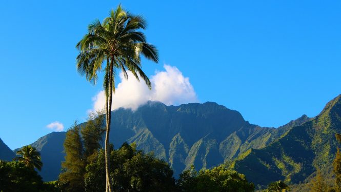 Hawaii-celebrities own homes Hawaii-celebrities own homes