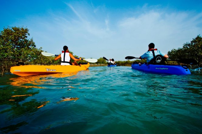 The Mangrove National Park - Places to see in Abu Dhabi The Mangrove National Park - Places to see in Abu Dhabi
