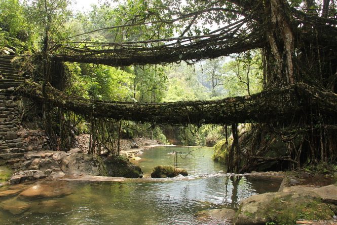 Meghalaya- Tourist Places in India Meghalaya- Tourist Places in India