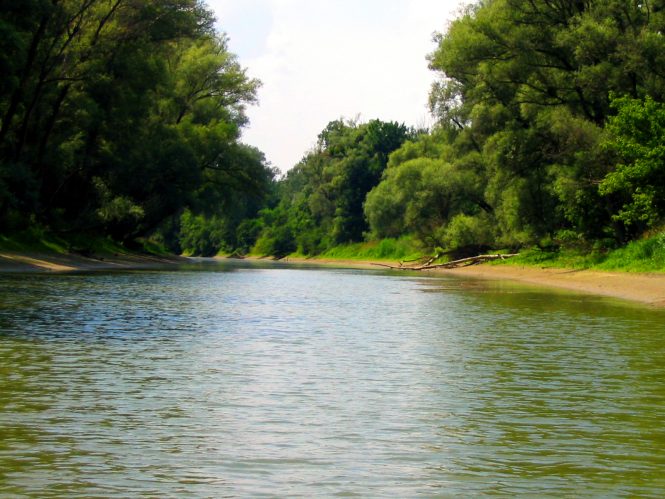 Donau-Auen National Park- Things to do in Austria