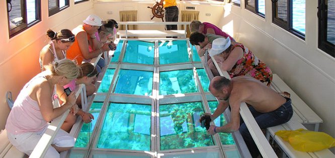 Glass boat ride - things to do in Andaman