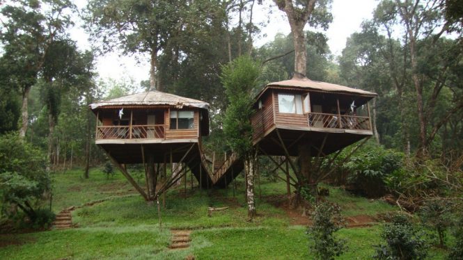 Baikunth Resort- himachal hotels Baikunth Resort- himachal hotels