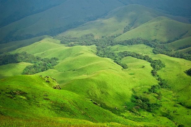Coorg- Tourist Places in India Coorg- Tourist Places in India