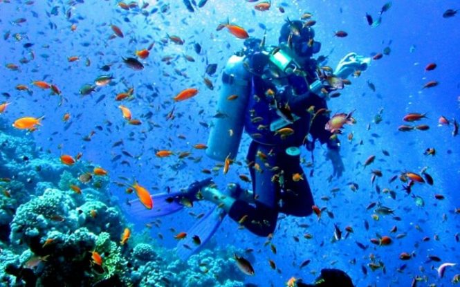 Underwater scenario-Andaman adventures Underwater scenario-Andaman adventures