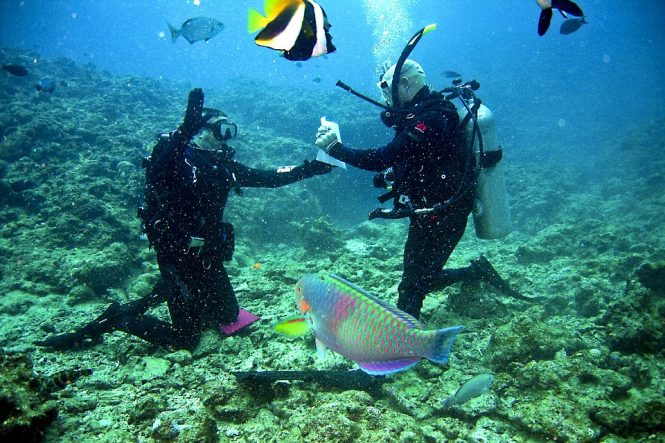 Sea Walking-Andaman adventures Sea Walking-Andaman adventures