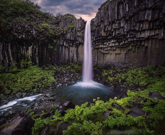 Svartifoss Waterfall- things to do in Iceland Svartifoss Waterfall- things to do in Iceland
