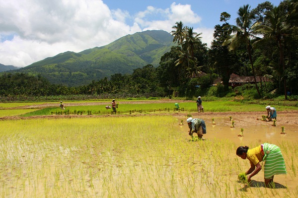 Wayanad - Tourist places in Kerala Wayanad - Tourist places in Kerala