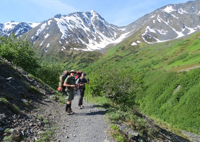 Denali National Park- Alaska adventure Denali National Park- Alaska adventure