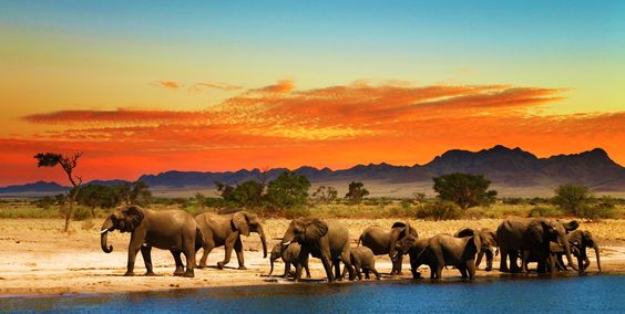 South Africa- international summer holiday South Africa- international summer holiday