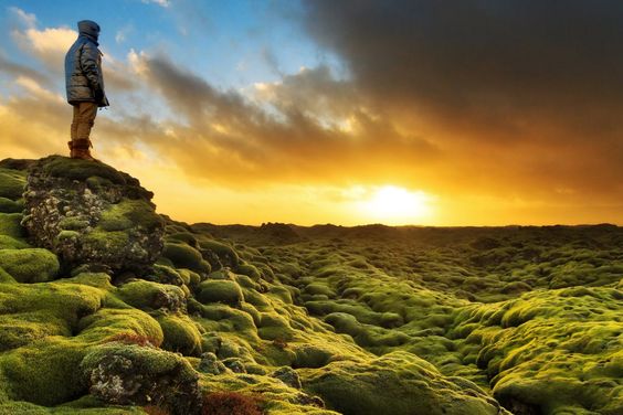 Eldraun’s Mossy Volcanic Terrain-things to do in Iceland Eldraun’s Mossy Volcanic Terrain-things to do in Iceland