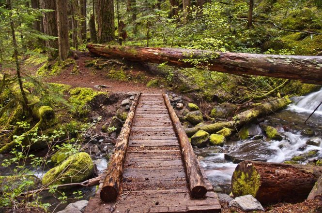 Madhuban Trek - Things to do in Andaman