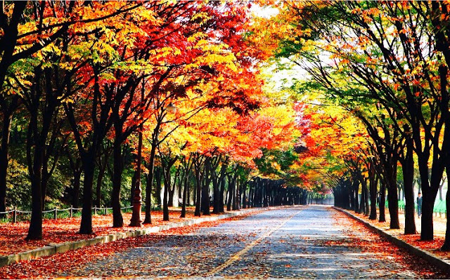 Incheon Grand Park- places to visit in Korea Incheon Grand Park- places to visit in Korea