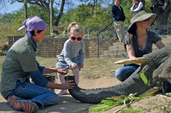 Kruger National Park - Wildlife Safaris in South Africa Kruger National Park - Wildlife Safaris in South Africa