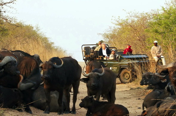 Kruger National Park - Wildlife Safaris in South Africa Kruger National Park - Wildlife Safaris in South Africa