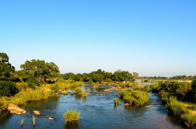 Kruger National Park - Wildlife Safaris in South Africa Kruger National Park - Wildlife Safaris in South Africa