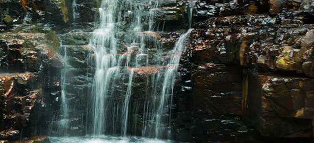 Sightseeing- Tirupati tourism Sightseeing- Tirupati tourism