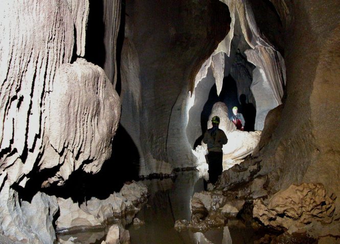 LimeStone Cave-Living Root Bridges LimeStone Cave-Living Root Bridges