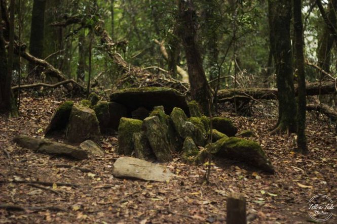 Mawphlang Sacred Forest