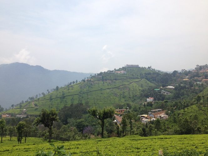 Ooty- Tourist places in India Ooty- Tourist places in India