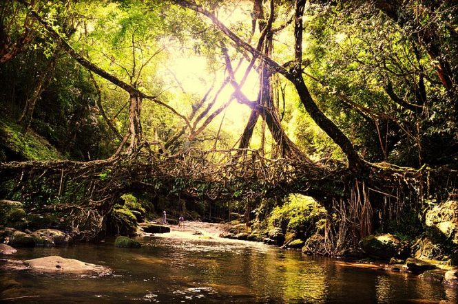 Cherrapunji