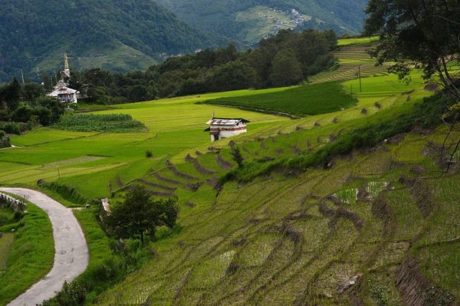 Ziro- Tourist places in India Ziro- Tourist places in India