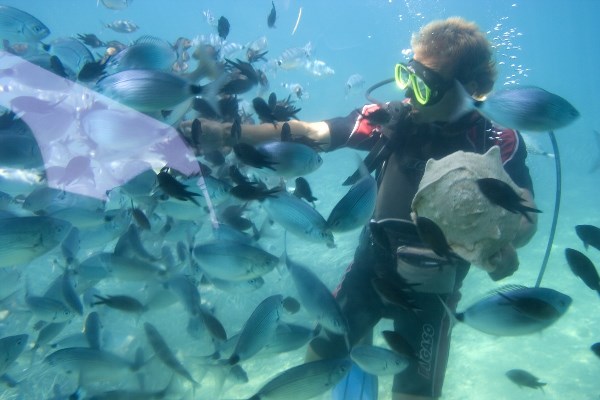 "Andaman Offseason" - Water Walking or Sea Walking "Andaman Offseason" - Water Walking or Sea Walking