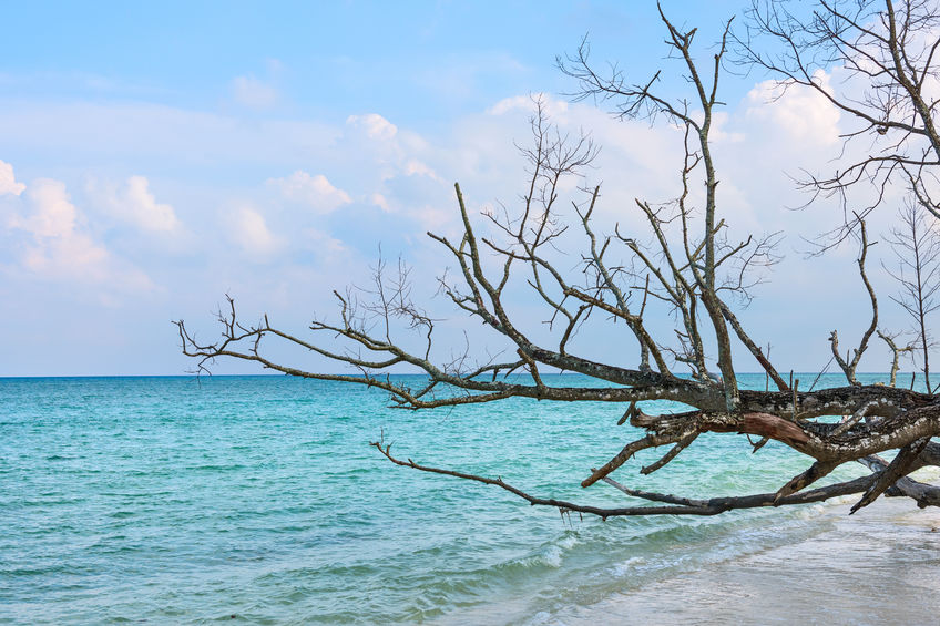 Beach hoping-Havelock Island Beach hoping-Havelock Island