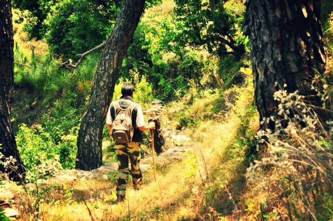 Binsar- Tourist places in India Binsar- Tourist places in India