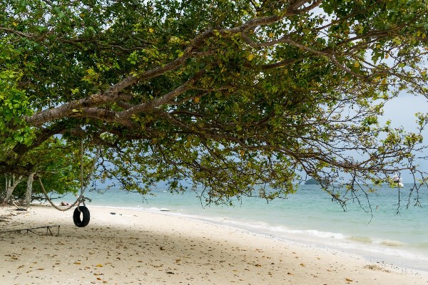"Andaman Offseason" Is a Myth, Here is Why.... "Andaman Offseason" Is a Myth, Here is Why....
