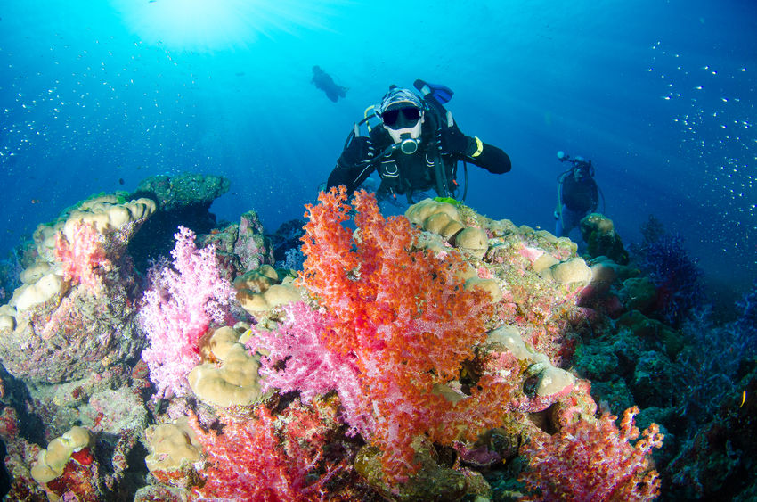 Scuba Diving-Havelock Island Scuba Diving-Havelock Island