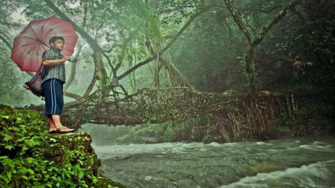 Trekking and Nature Walk-Living Root Bridges Trekking and Nature Walk-Living Root Bridges