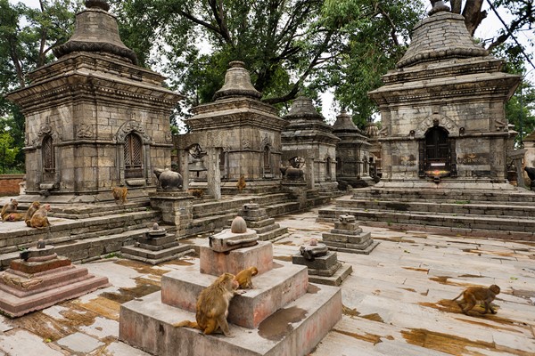Premises of Pashupatinath Temple Premises of Pashupatinath Temple