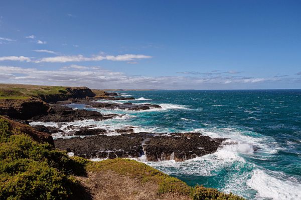 Phillip Island-Things to do in Australia Phillip Island-Things to do in Australia