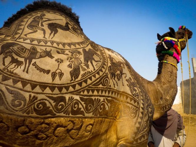 New Delhi to Jaipur and Pushkar- Road Trip Packages New Delhi to Jaipur and Pushkar- Road Trip Packages