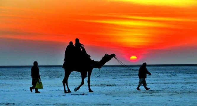 Rann Of Kutch -Luxury experiential travel Rann Of Kutch -Luxury experiential travel
