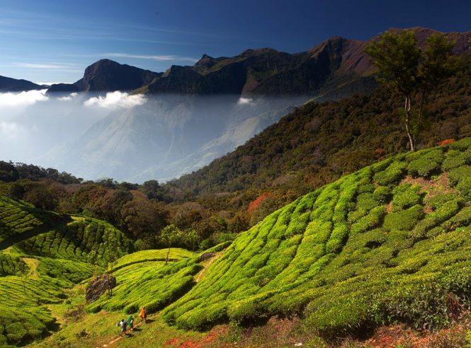 Kerala-Luxury experiential travel Kerala-Luxury experiential travel