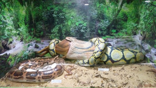 Guindy National Park - places to visit in Chennai