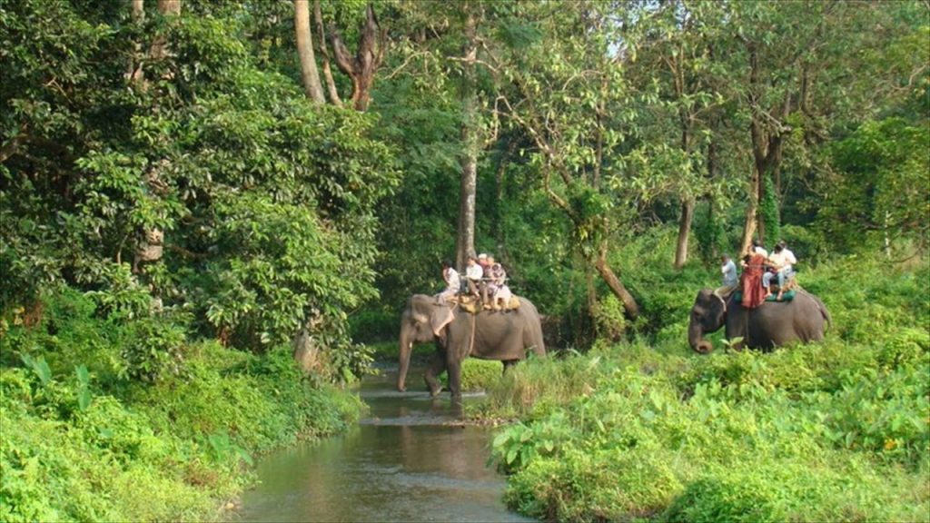 Reserve Forest Sanctuary