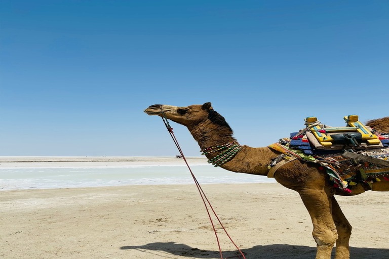 Kutch