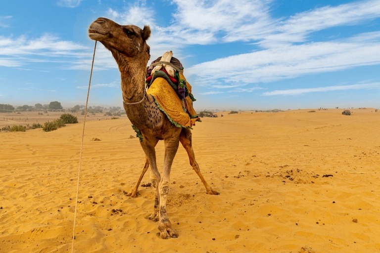 Jaisalmer