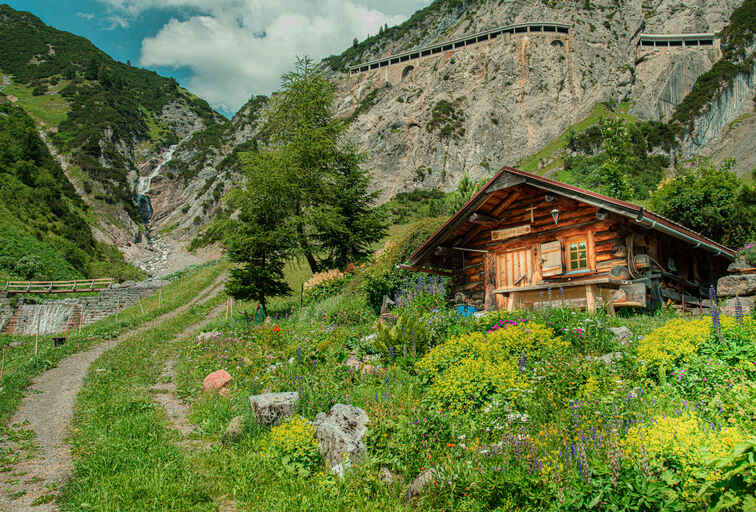 kasol