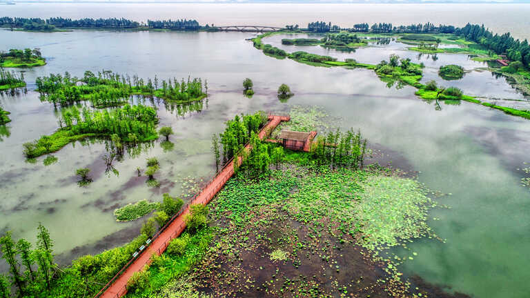 majuli assam